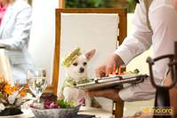 Кадр Крошка из Беверли-Хиллз