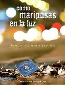 Как бабочки на свет