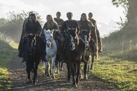 Кадр Викинги