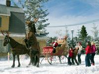 Кадр Добро пожаловать, или Соседям вход воспрещен