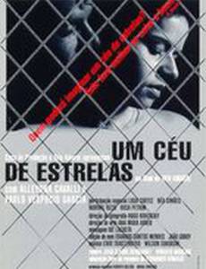 Звездное небо