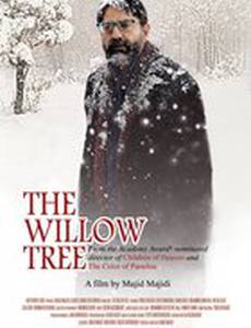 Ивовое дерево