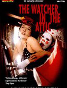 Подглядывающий с чердака