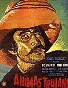 Важный человек