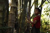 Кадр Ракета