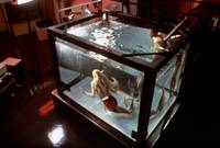 Кадр Всплеск