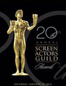 20-я церемония вручения премии Гильдии киноактеров