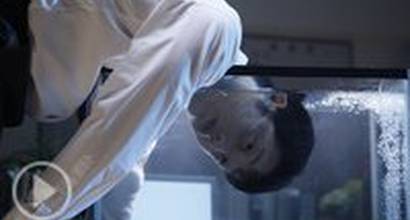 Трейлер (русский) 