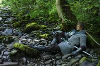 Кадр Мерлин