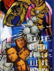 A Year and a Half in the Life of Metallica (видео)