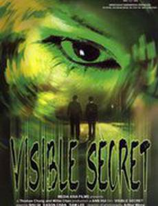 Видимая тайна