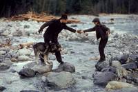 Кадр Путешествие Нэтти Ганн