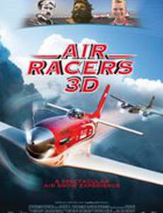 Воздушные гонщики 3D