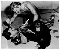 Кадр Приключения Тарзана в Нью-Йорке