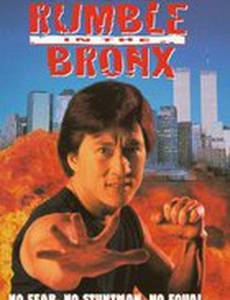 Разборка в Бронксе