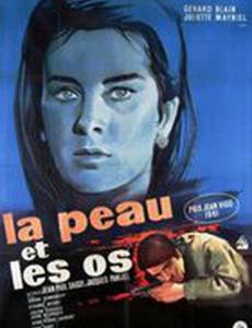 Кожа и кости