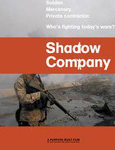 Теневая компания