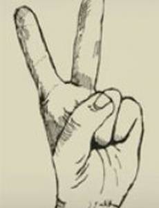 Я встретил моржа