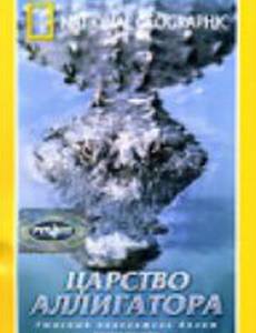 Царство аллигатора