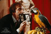 Кадр Розовая пантера наносит ответный удар