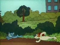 Кадр Котенок с улицы Лизюкова