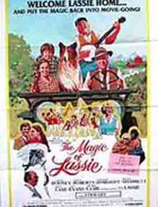 Магия Лэсси