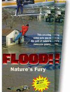 Наводнение!