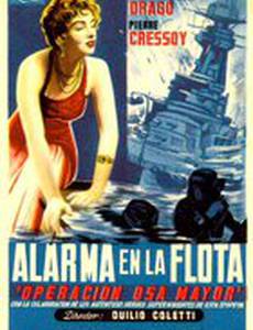 Большая медведица