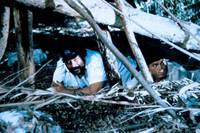 Кадр Кто находит друга, найдет и сокровище