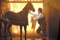 Кадр Черный красавец