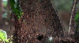 Кадр из фильма "Осажденная крепость" - 2