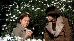 Кадр из фильма "Гарольд и Мод" - 1