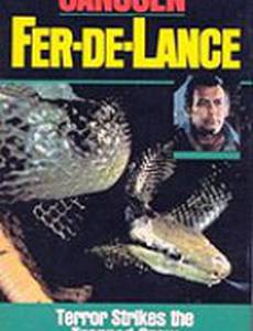 Fer-de-Lance