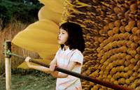 Кадр Вкус чая