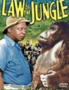Law of the Jungle