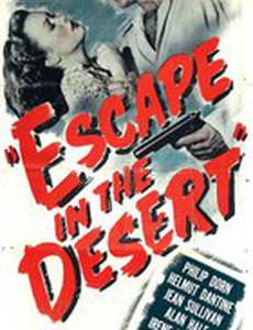 Escape in the Desert