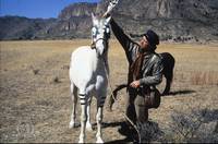 Кадр Крыло Орла