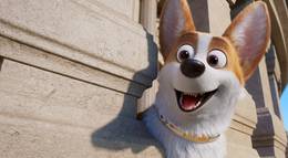 Кадр из фильма "Королевский корги" - 1