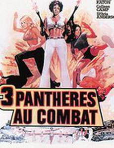 Чертовки в цепях