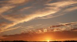 Кадр из фильма "Тишина" - 1