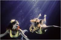 Кадр Спасатели Малибу