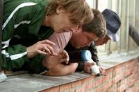 Кадр Любовь-морковь