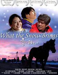 Что приносит снег