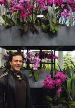 Тим Шубель фото