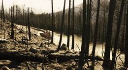 Кадр из фильма "2016: Конец ночи" - 1