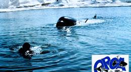 Кадр из фильма "Смерть среди айсбергов" - 1