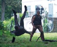 Кадр 7 секунд (видео)