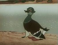 Кадр Серая шейка