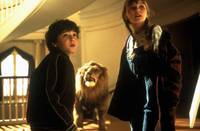 Кадр Джуманджи