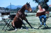 Кадр Удачное наследство